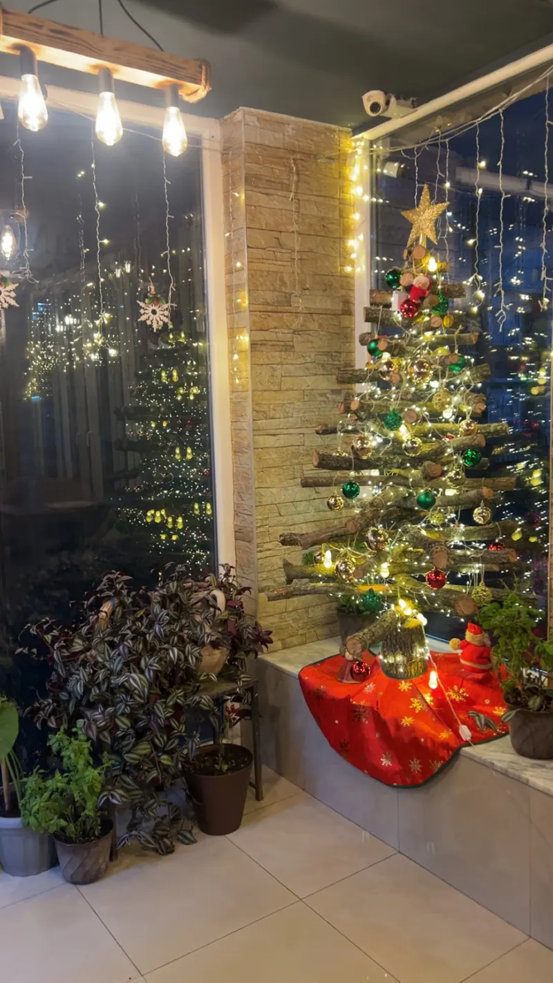 A glass corner with fairy lights, plants and a decorated tree