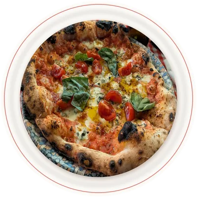 Pizza Regina, wood-fired