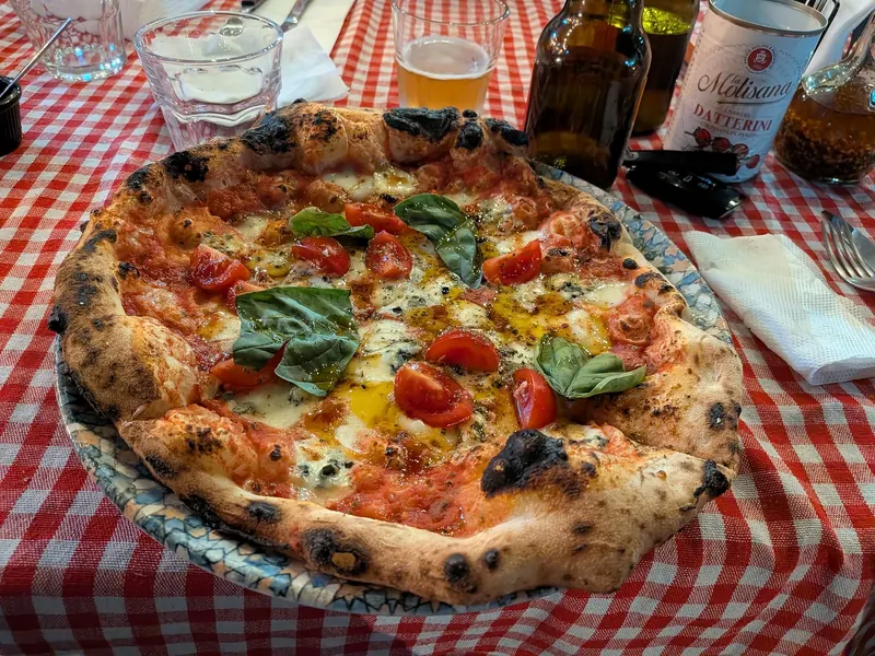 A Pizza Regina with cherry tomatoes, gorgonzola and basil on a red-checked table